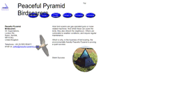 Desktop Screenshot of peaceful-pyramid.co.uk